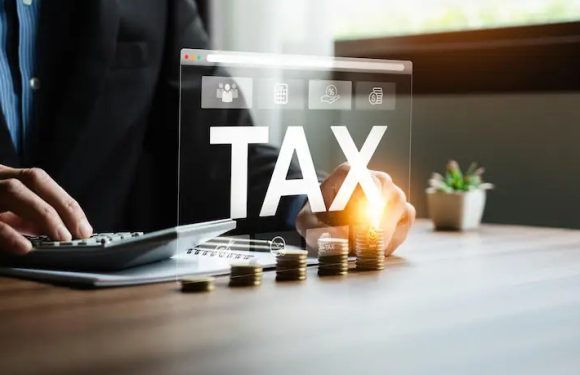 A Guide To Filing Personal & Business Taxes