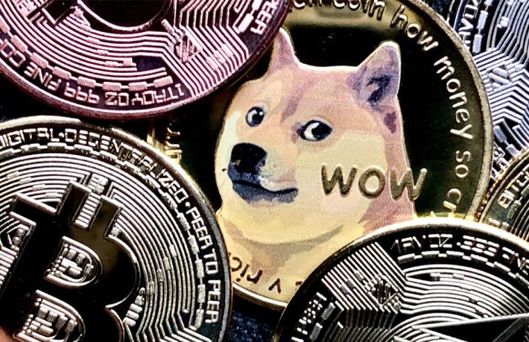 How do plasma chains process high-volume meme coin transactions?