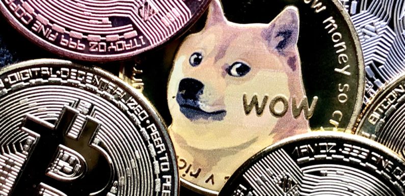 How do plasma chains process high-volume meme coin transactions?